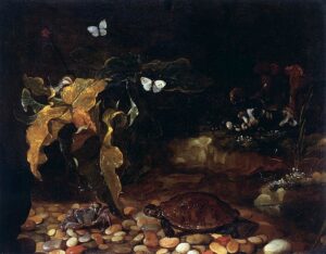 「亀と蟹」（1650‐1655年頃）パオロ・ポルポラ