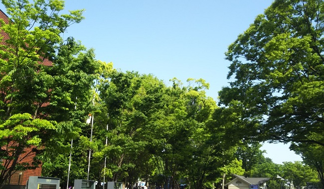 上野にある美術館と緑あふれる自然