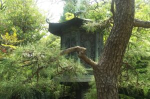 根津美術館の庭園