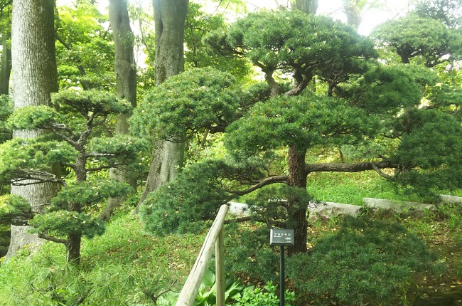 根津美術館の庭園