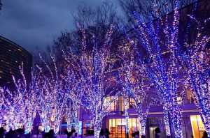 正月の横浜美術館とその周辺の様子