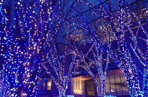 正月の横浜美術館とその周辺の様子
