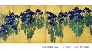 「燕子花図屏風（右隻）」（江戸時代、18世紀）尾形光琳筆