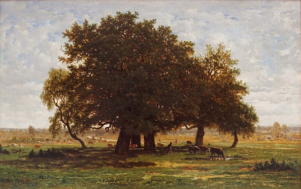 「アプルモンの樫、フォンテーヌブローの森」（1850‐52年頃）テオドール・ルソー