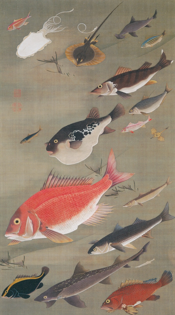 「群魚図（動植綵絵）」（明和2‐3年頃）伊藤若冲