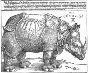 「犀（The Rhinoceros）」（1515年）アルブレヒト・デューラー