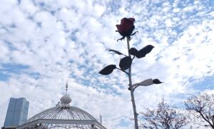 六本木ヒルズに咲く”イザ・ゲンツケン”のアート作品「薔薇」