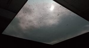 「Is Your Time」坂本龍一 with 高谷史郎　※個展『坂本龍一：音を視る 時を聴く』より