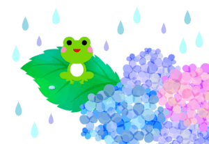 紫陽花（アジサイ）