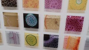 「私を見つけましたね：目に見えないものが見える時」（2023年）マリィ・クラーク　※「彼女たちのアボリジナル・アート オーストラリア現代美術」より