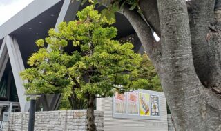 東京都現代美術館で「日常のコレオ」展を観てきました。