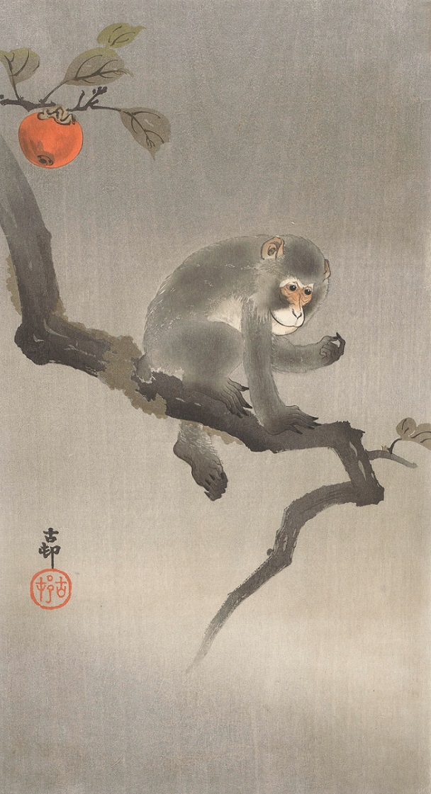 「猿に柿」（1900-1930年頃）小原古邨