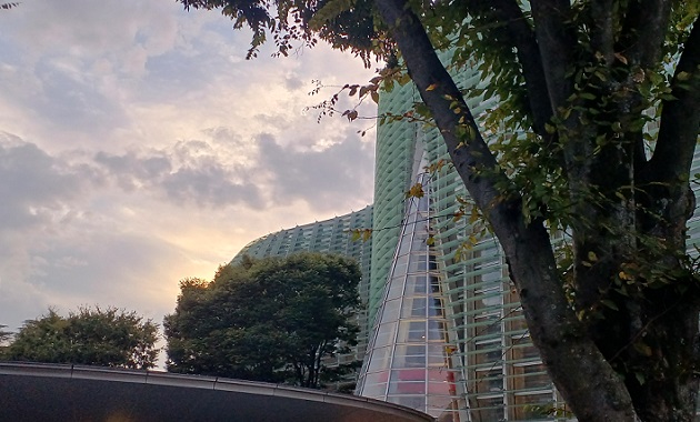 ”国立新美術館”自体が芸術!?