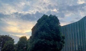 ”国立新美術館”自体が芸術！？