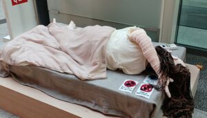 「nemui」岡田 希乃風　※「TOKYO MIDTOWN AWARD 2025」作品