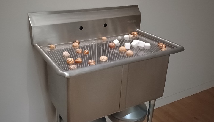 「流し台で社会の縮図」（2022年）笹本晃