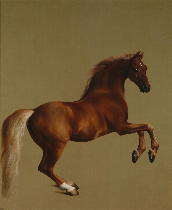 「ホイッスルジャケット（Whistlejacket）」（1762年頃）ジョージ・スタッブス