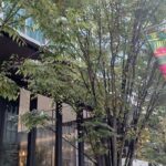 「ジャム・セッション：石橋コレクション×山城知佳子×志賀理江子”漂着”」のチラシ