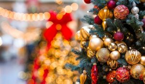 クリスマスツリー（Christmas Tree）のイメージ画像