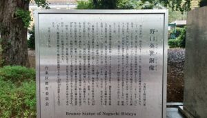 上野公園の”野口英世博士象”