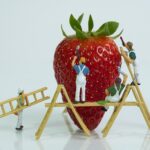 いちご（Strawberry）とフィギュアの人間