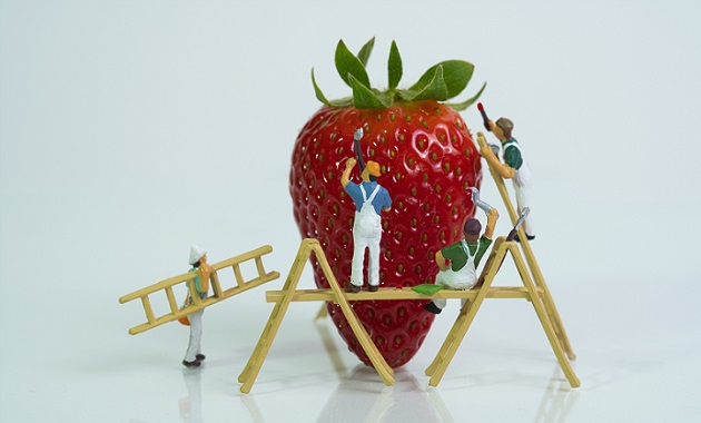 いちご(Strawberry)とフィギュアの人間