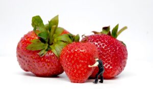 いちご（Strawberry）とフィギュアの人間