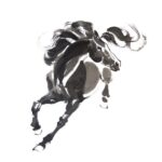 馬（イメージ画像）