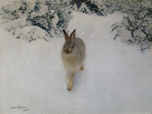 「冬の野うさぎ」（1905年）ブルーノ・リリエフォッシュ