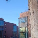 東京都美術館で「スウェーデン絵画 北欧の光、日常のかがやき」展を観てきました。