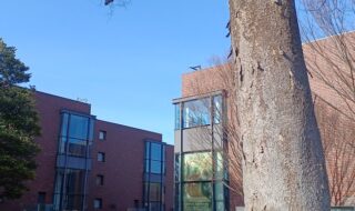 東京都美術館で「スウェーデン絵画 北欧の光、日常のかがやき」展を観てきました。