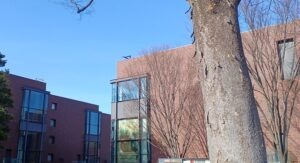 東京都美術館で「スウェーデン絵画 北欧の光、日常のかがやき」展を観てきました。