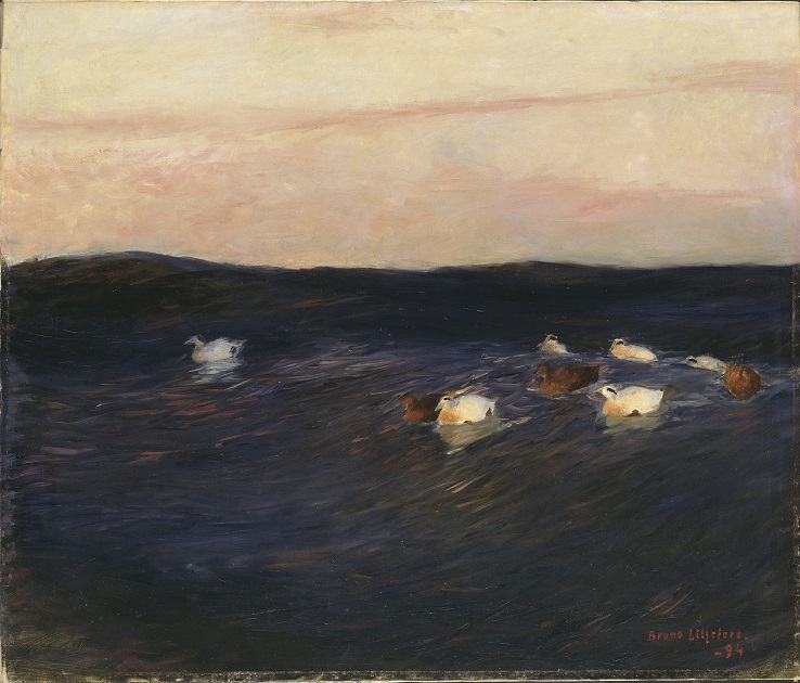 「ケワタガモ」(1894年)ブルーノ・リリエフォッシュ