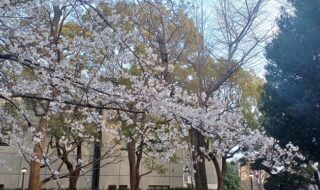 国立西洋美術館で「北斎 冨嶽三十六景（井内コレクション）」を観てきました。