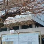 東京国立近代美術館で、企画展「下村観山展」を観てきました。