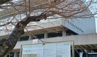 東京国立近代美術館で、企画展「下村観山展」を観てきました。