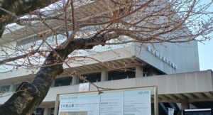 東京国立近代美術館で開催の「下村観山展」