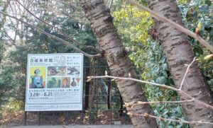 東京藝大美術館で「ＮＨＫ日曜美術館５０年展」を観てきました。