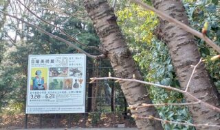 東京藝大美術館で「ＮＨＫ日曜美術館５０年展」を観てきました。