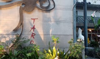 岡本太郎記念館で、企画展「佐内正史 雷写」を観てきました。