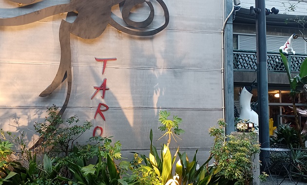 岡本太郎記念館で、企画展「佐内正史 雷写」を観てきました。