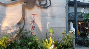 岡本太郎記念館で、企画展「佐内正史 雷写」を観てきました。
