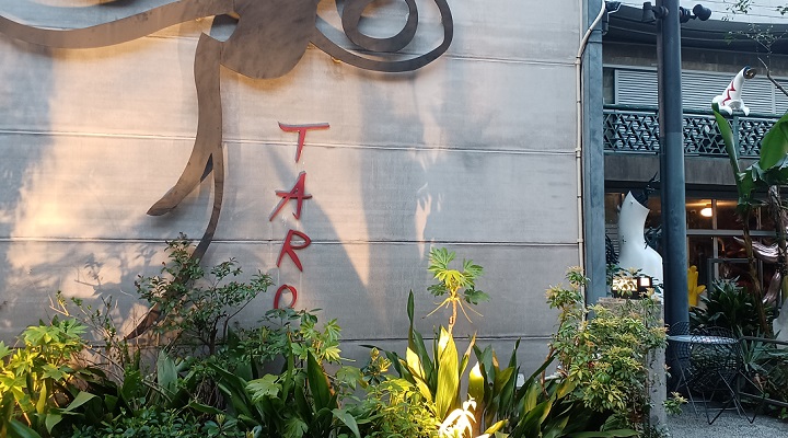 岡本太郎記念館で、企画展「佐内正史 雷写」を観てきました。