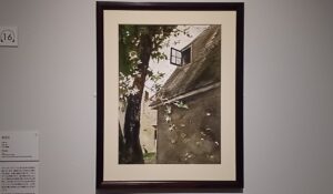 「花びら」（1991年）アンドリュー・ワイエス　※東京都美術館で開催の「アンドリュー・ワイエス展」より