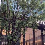 アーティゾン美術館で「瀧口修造 書くことと描くこと」を観てきました。