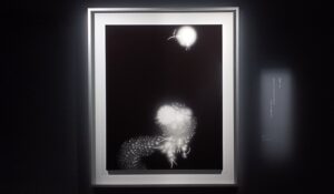 「放電場 138」（2009年）杉本博司