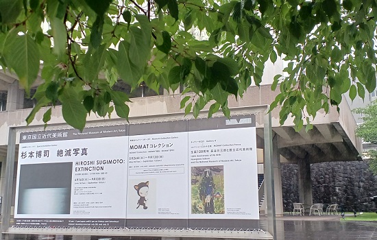 東京国立近代美術館で、「杉本博司 絶滅写真」を観てきました。