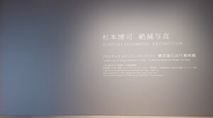 東京国立近代美術館で、「杉本博司 絶滅写真」を観てきました。
