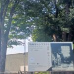 国立西洋美術館で「版画家レンブラント： 挑戦、継承、インパクト」を観てきました。