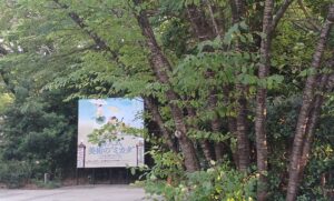 藝大美術館で、「藝大式 美術の ”ミカタ”」を観てきました。